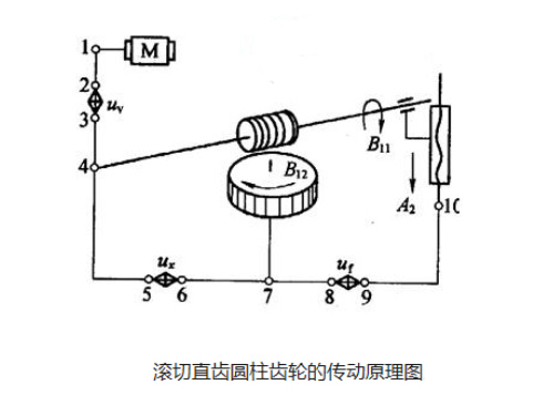 齒輪加工丨加工直齒圓柱齒輪的傳動(dòng)原理